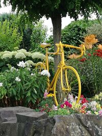 Bild Bike gelb